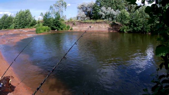 Голавлиная стая в луже на реке. Ловля голавля на донки на рака смотреть онлайн