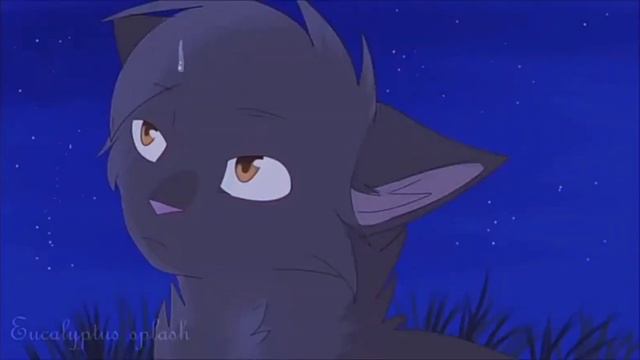 Коты Воители   Клип | Крутобок и Серебрянка   