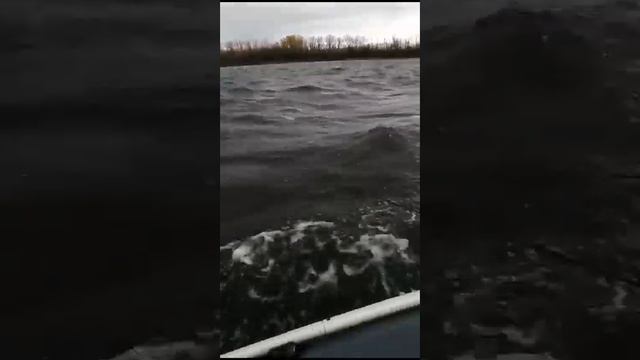 лодка таймень нднд по волнам, полёт нормальный смотреть онлайн