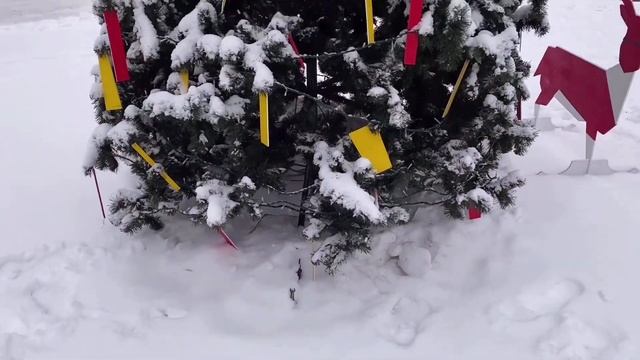 Влог ❄️ Декабрь 21-27 ❄️ Зеленая юбка ? Сладкие ароматы ? смотреть онлайн