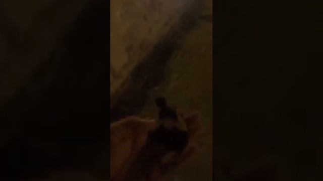 Ten Erika   Прощаюсь с Ли Мин Хо