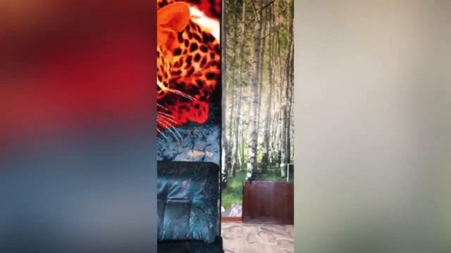 КТО КЕМ СИДЕЛ РАЗБОРКИ _ ИРИШКА ЧИКИ ПИКИ И БЕЗУМНЫЙ ПАША ВЫЯСНЯЮТ КТО ОНИ ПО МАСТИ смотреть онлайн