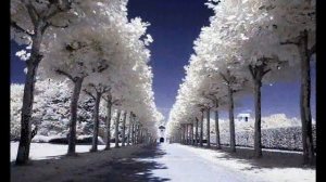 Зима 2 ч  Антонио  Вивальди