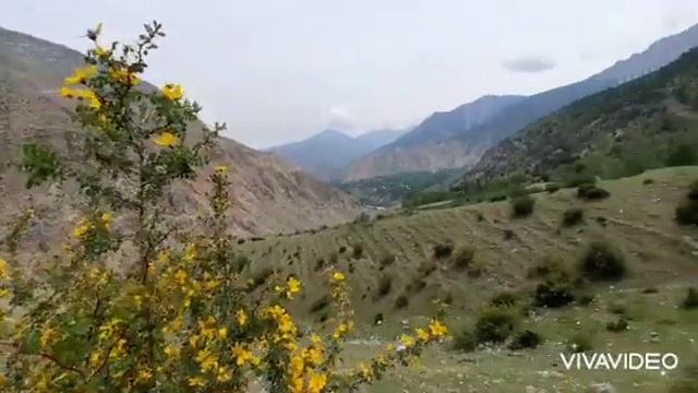 Аюа Юсупов. Шахимардан "Маршала" 2021 Май. Shohimardon "Marshala " 2021 May. смотреть онлайн