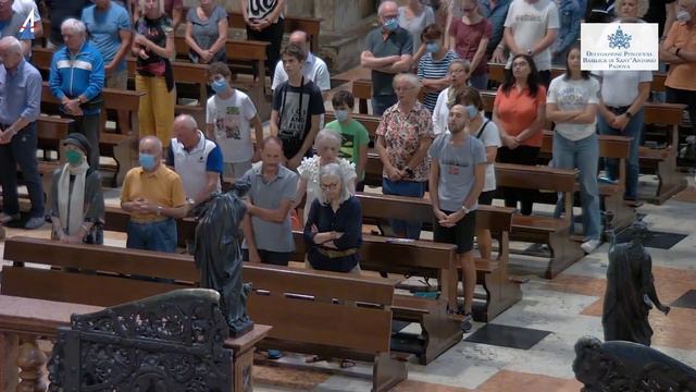 Santa Messa in diretta dalla Basilica del Santo a Padova смотреть онлайн