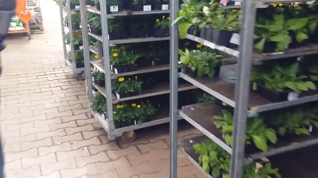 прогулка по ОБИ Мега Парнас..26.04.2020. смотреть онлайн