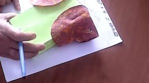 Выкройка лёгкой женской накидки болеро с рукавом кимоно