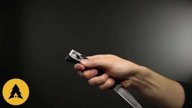 Складной нож BUCK Slim Hunter Select сталь 420HC, рукоять Black GFN смотреть онлайн