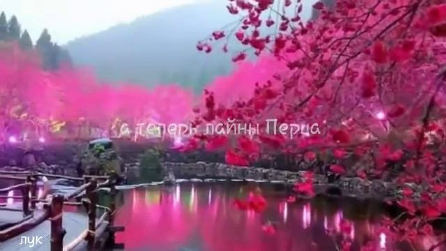 ~Ищу всех~ (пару, семью, друзей). Моя ос+окрас перса кв(Ч.О.) смотреть онлайн