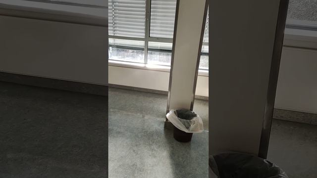 6 января 2023 г. смотреть онлайн