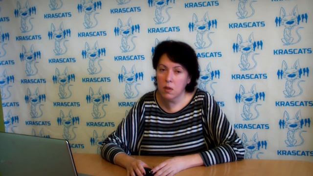 Уход за одной кошкой смотреть онлайн