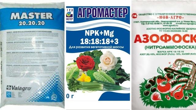 Одна ложка этого удобрения и томатов завяжется в 10 раз больше и не будут желтеть смотреть онлайн