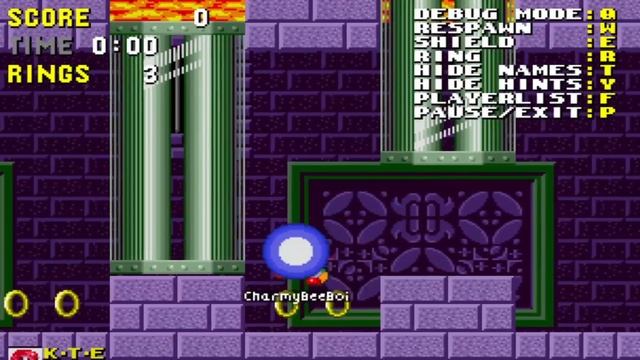 Charmy Plays Classic Sonic Simulator on Roblox смотреть онлайн