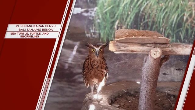 "DENPASAR" Top 40 Tourist Places | Denpasar Tourism | INDONESIA смотреть онлайн