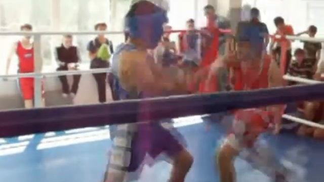 Первенство города по боксу смотреть онлайн