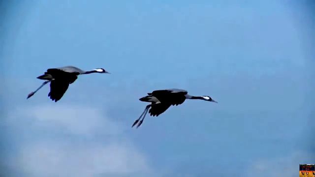 ПРОДРОГШАЯ ОСЕННЯЯ ЛЮБОВЬ... смотреть онлайн