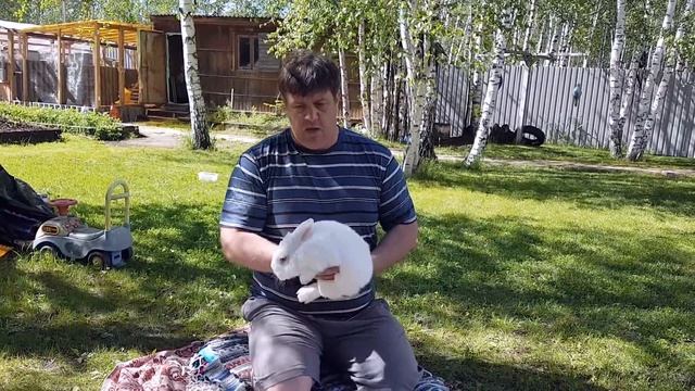 Кролик НЗБ смотреть онлайн