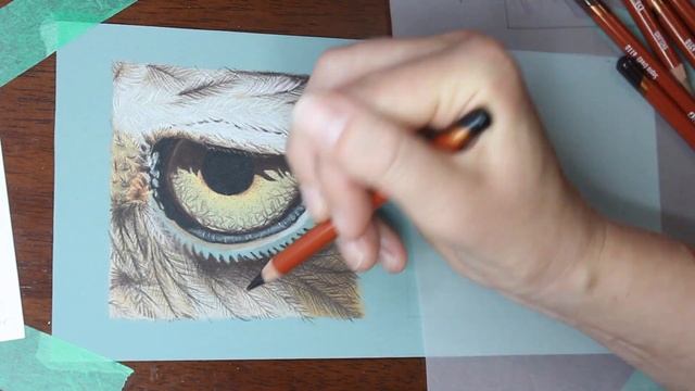 COLOR PENCIL COMPARISON - Derwent Drawing Pencils Vs Faber-Castell Polychromos Realistic Eye Drawin