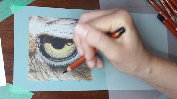 COLOR PENCIL COMPARISON - Derwent Drawing Pencils vs Faber-Castell Polychromos realistic eye drawin