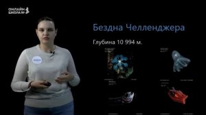 Мировой океан. Урок 17. География 6 класс