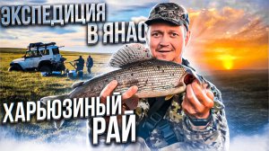 Новая экспедиция команды «Небздящих»/Переезжаем с горного озера в харьюзиный рай/Часть 3
