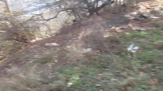 Бардак Кисловодска. Мусорная свалка на ул.Горького 32,таких загаженных мест много. смотреть онлайн