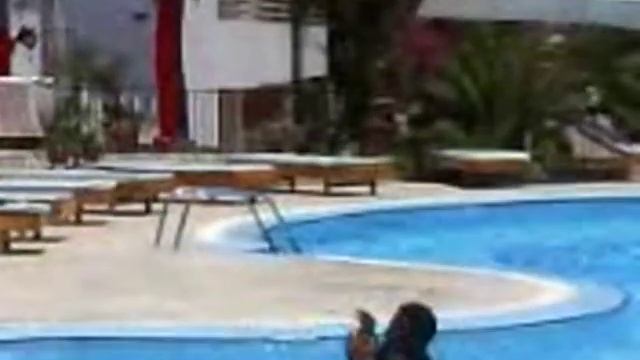 Egypt Hurghada Minamark Beach Resort Animators Said Sambo Marly