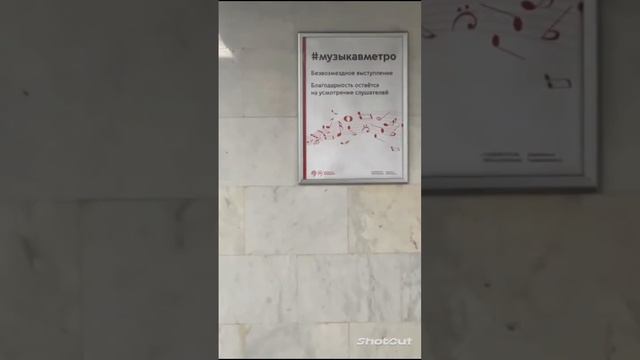 Музыкальное выступление в переходе Проспект Вернадского БКЛ - Проспект Вернадского СокЛ смотреть онлайн
