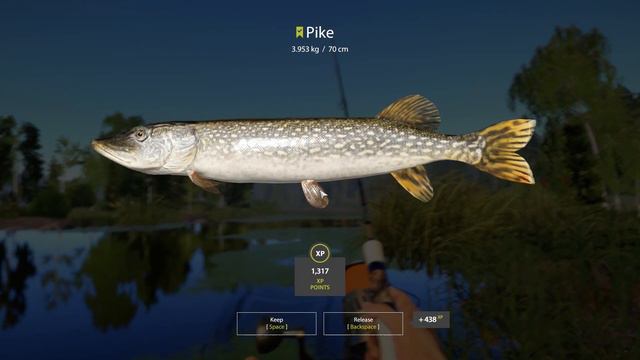 🎣Russian Fishing 4 RF4 - Old Burg Lake Active Pike Spot#332 смотреть онлайн