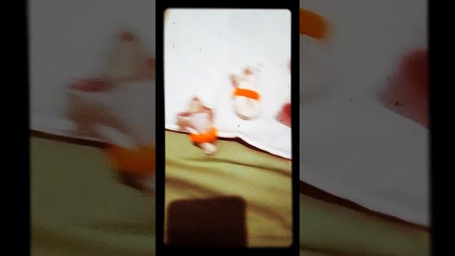 VLOG: рождественское пеленание мини Реборна Анечки!!! смотреть онлайн