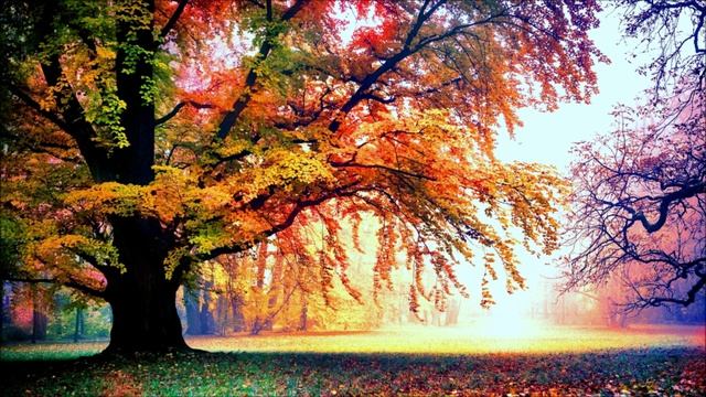 Взаимодействие общепланетарного сознания с коллективными сознаниями других рас и цивилизаций.