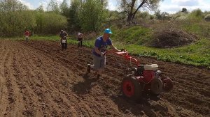 ПОСАДКА КАРТОФЕЛЯ. Быстро и качественно!!!