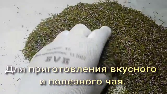 Цвет и лист вереска дикорастущего. Для приготовления вкусного и полезного чая. Ручной сбор. смотреть онлайн