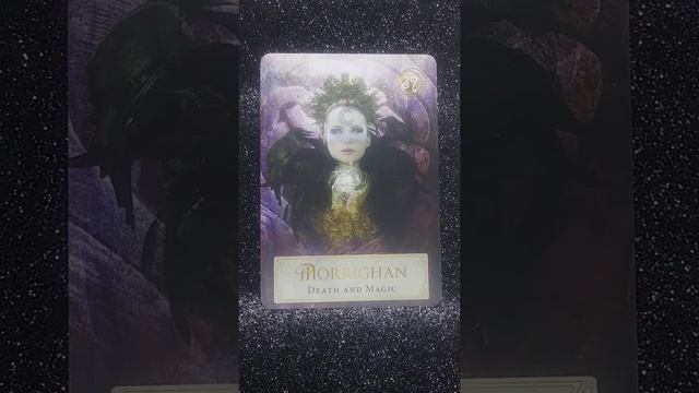 Morrighan✨Daily Guidance - Goddess Power Oracle Message #morrighan #goddesspower #goddess #power смотреть онлайн
