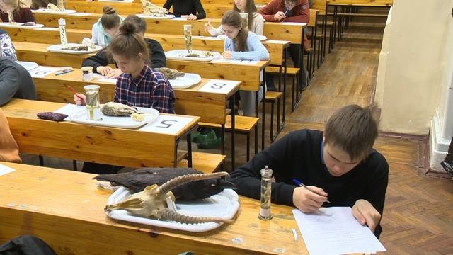 Новости СПбГУ: Практический тур регионального этапа Всероссийской олимпиады школьников по биологии