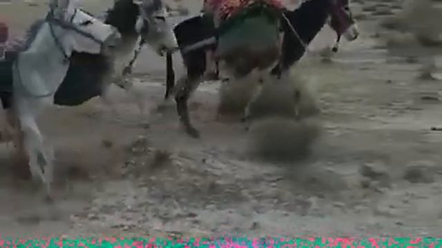 ТАКСИ БАРОИ ГРАНИЦА БЕПУЛ МЕБАРАН смотреть онлайн