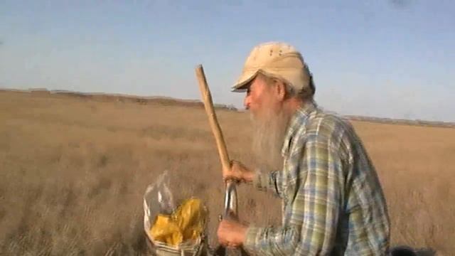 2.  Пастьба коров посл обеда уже и вдвоём.  19. 09. 2019