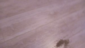 Dyson DC 37 отзыв реального владельца за год эксплуатации