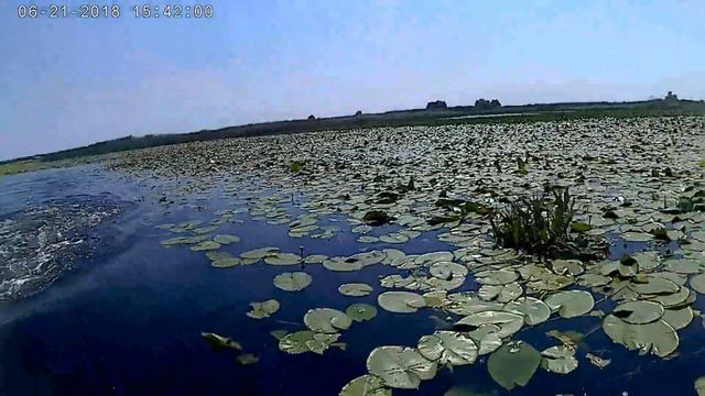 Danube Delta ~ Donaudelta ~ Delta Dunarii ~ Дельта Дуная ~ Делтата на Дунав