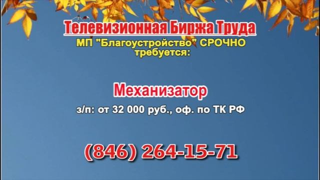 15.10.21 в 16.30 на Губернии ТБТ-Самара, ТБТ-Тольятти