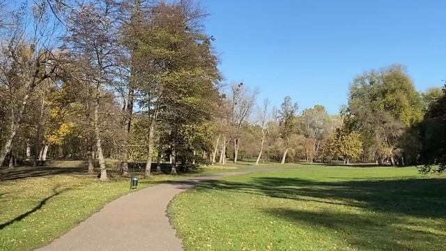 În fiecare zi a hrănit un copil al străzii, iar 15 ani mai târziu, când s-a angajat, a văzut... смотреть онлайн