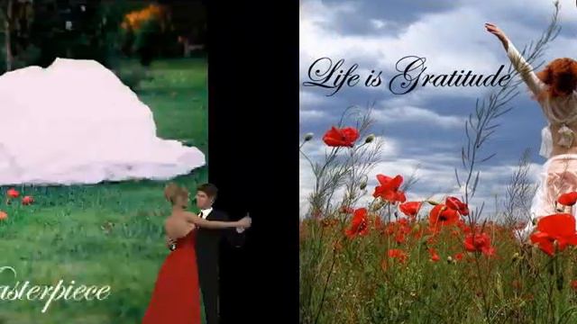 LIFE IS... (A C ) смотреть онлайн