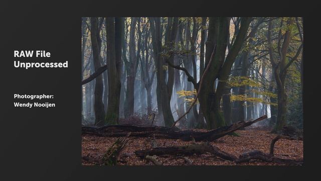 Albert Dros is editing your photos with Luminar AI смотреть онлайн