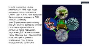 Биология - 10 класс - Биотехнология. Генная и клеточная инженерия