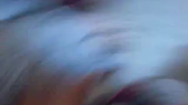 Ухаживаем за котом (часть 1) смотреть онлайн