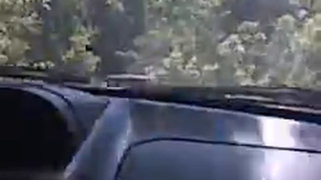 rally em faxinal- parana смотреть онлайн
