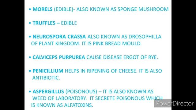 TYPES OF FUNGI #PART_05 смотреть онлайн