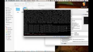 Wi-Fi Роутер Xiaomi Mi router Mini. Прошивка Padavan (XRMWRT)