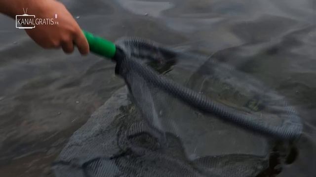 Je pêche le brochet avec ce drone télécommandé et des leurres de surface !!! смотреть онлайн