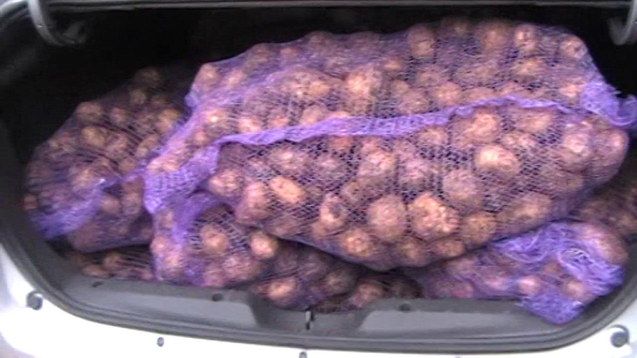 Lada Vesta. Грузоподъемность или как я возил картошку. смотреть онлайн